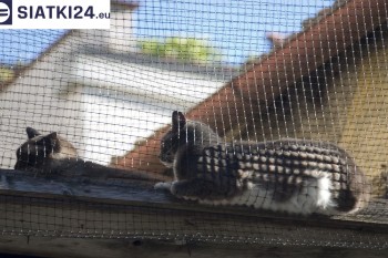 Siatki Grudziądz - Siatka na balkony dla kota i zabezpieczenie dzieci dla terenów Grudziądza