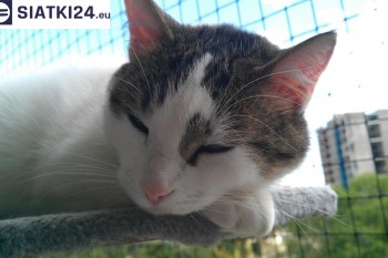 Siatki Grudziądz - Siatka na balkony dla kota i zabezpieczenie dzieci dla terenów Grudziądza